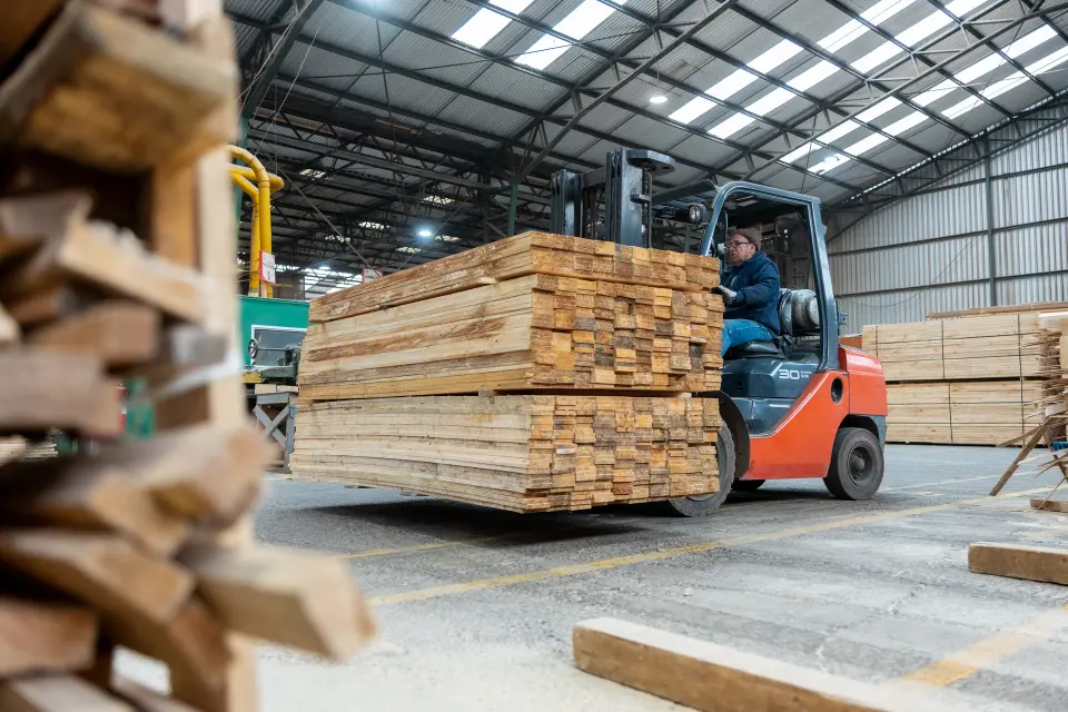 Preparación de pallets para despacho en la planta Madesan