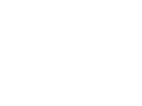 Madesan_Madesan-Logotipo-Blanco
